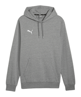 PUMA teamGOAL Casuals Hoody Grau F33 - grau