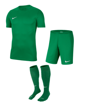 Nike Park VII Trikotsatz grün