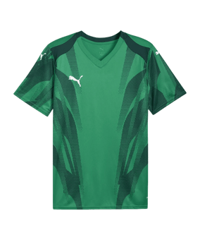 PUMA teamFINAL Graphic Trikot Grün F05 - gruen