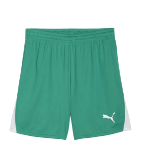 PUMA teamLIGA26 Short Grün F05 - gruen