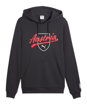 PUMA ÖFB Österreich FtblCulture Hoody Grau F25 - grau