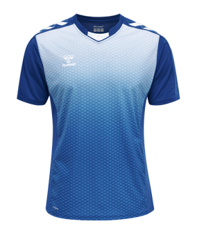 Hummel hmlCORE XK Sublimation Trikot Blau F7045 - blau