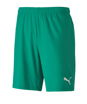 PUMA teamGOAL 23 Knit Short Grün F05 - gruen