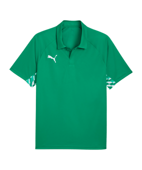 PUMA teamLIGA26 Sideline Polo Grün F05 - gruen