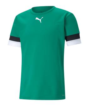 PUMA teamRISE Trikot Grün F05 - gruen