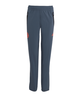 adidas FC Bayern Tiro 25 Competition Vis Tech Travel Pant Grey - grau