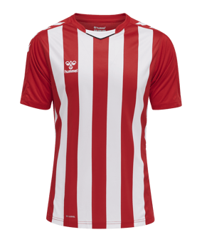 Hummel hmlCORE XK Striped Trikot Rot Weiss F3946 - rot