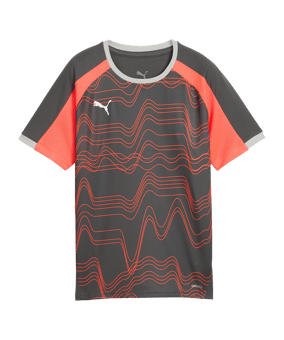 PUMA Individualliga Graphic Trikot Kids Grau F10 - grau