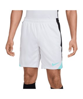 Nike Strike Short Grau F025 - grau