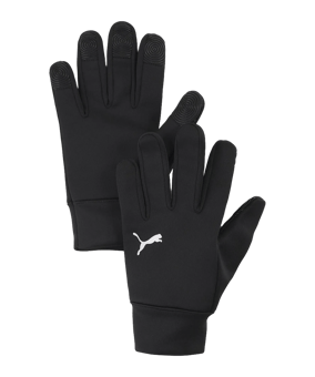 PUMA teamADDITIONS Winter Handschuhe Schwarz F01 - schwarz