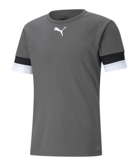 PUMA teamRISE Trikot Grau F13 - grau