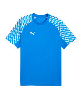 PUMA teamLIGA26 Trikot Blau F02 - blau