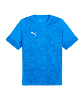 PUMA teamCUP Trikot Blau F002 - blau