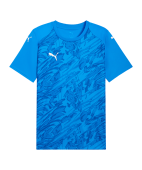 PUMA teamFINAL Graphic Trikot Blau F02 - blau