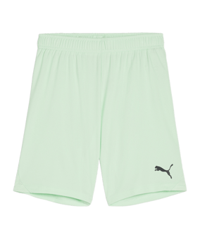 PUMA teamGOAL Short Kids Grün Schwarz F60 - gruen