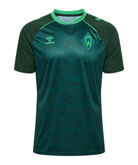 hummel SV Werder Bremen Pre Game Trikot 2026/2027 Grün F6228 - gruen