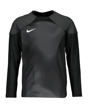 Nike Gardien IV Torwarttrikot langarm Kids F060 - grau