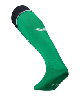 Castore Feyenoord Rotterdam Stutzen 3rd 24/25 F101 - gruen