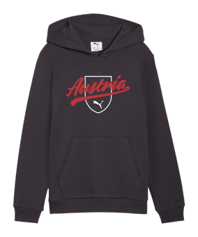 PUMA ÖFB Österreich FtblCulture Hoody Kids Grau F25 - grau
