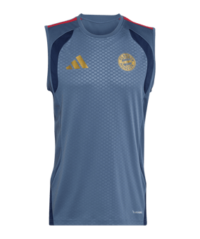 adidas FC Bayern München Sleeveless Trainingsshirt Blau - blau