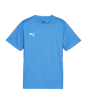 PUMA teamGOAL Trikot Kids Blau F02 - hellblau