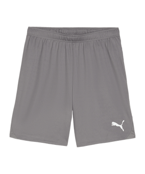 PUMA teamGOAL Short Grau Weiss F13 - grau