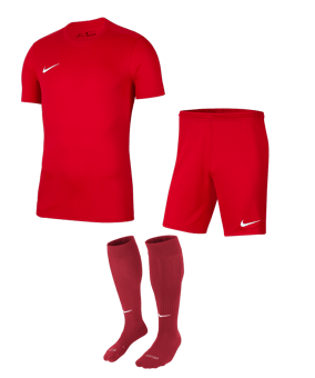 Nike Park VII Trikotsatz rot
