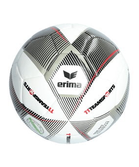 Erima Hybrid 2.0 Lite 350 Gramm Lightball 11TS - grau