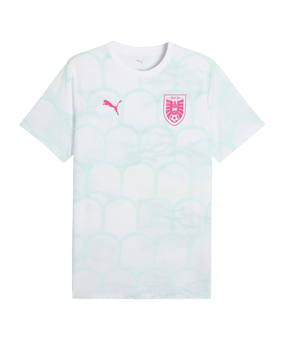 PUMA ÖFB Österreich FtblCulture T-Shirt Weiß F18 - weiss