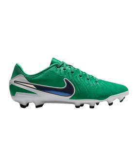 Nike Legend 10 Academy FG Grün F300 - gruen