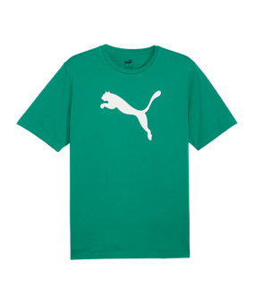 PUMA teamRISE Logo Trainingsshirt Grün F05 - gruen