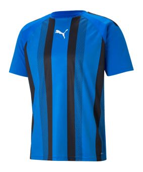 PUMA teamLIGA Striped Trikot Blau Schwarz F02 - blau