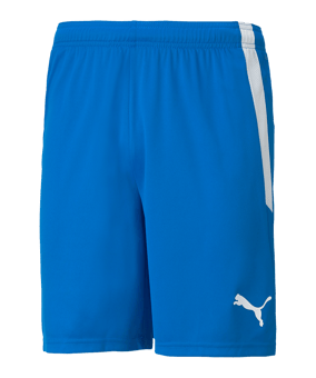 PUMA teamLIGA Short Blau F02 - blau