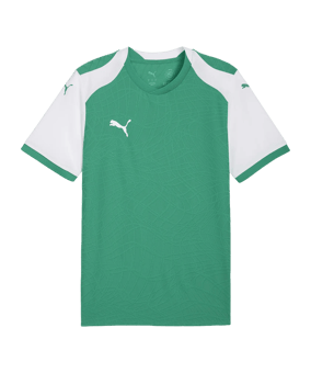 PUMA teamFINAL26 Knit Trikot Grün F05 - gruen