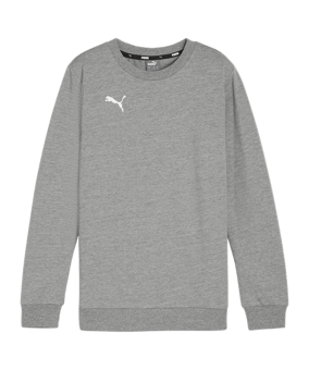 PUMA teamGOAL Casuals Sweatshirt Kids Grau F33 - grau