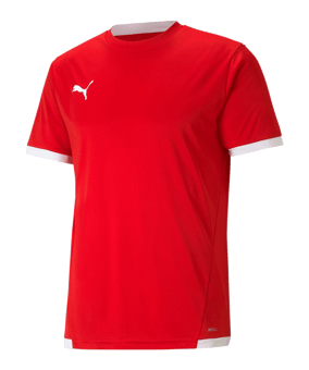 PUMA teamLIGA Trikot Rot F01 - rot