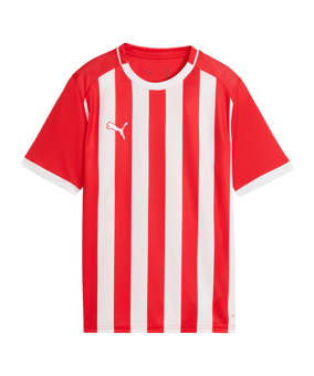 PUMA teamLIGA26 Striped Trikot Kids Rot F01 - rot