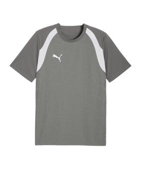 PUMA teamFINAL26 Training Trikot Grau F13 - grau