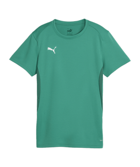PUMA teamGOAL Trikot Damen Grün F05 - gruen