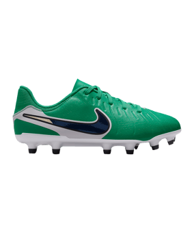 Nike Legend 10 Academy LV8 FG/MG Fear Nothing Kids Grün F300 - gruen