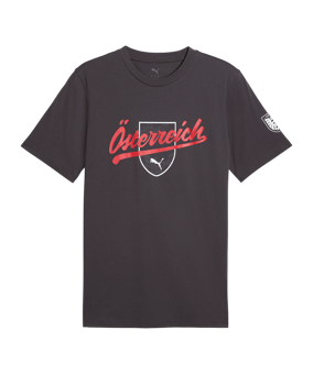 PUMA ÖFB Österreich FtblCulture T-Shirt Kids Grau F25 - grau
