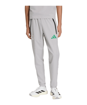 adidas Algerien Tiro Tech Hose Grau - grau