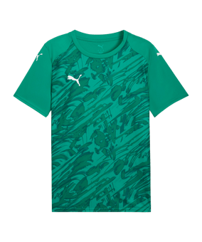 PUMA teamFINAL Graphic Trikot Grün F05 - gruen