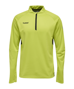 Hummel Tech Move 1/2 Zip Sweatshirt F6102 