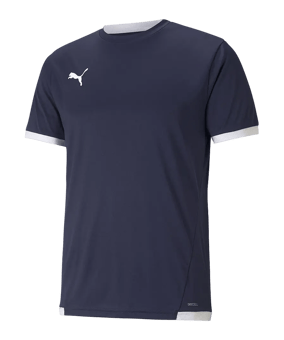 PUMA teamLIGA Trikot Blau F06 - blau