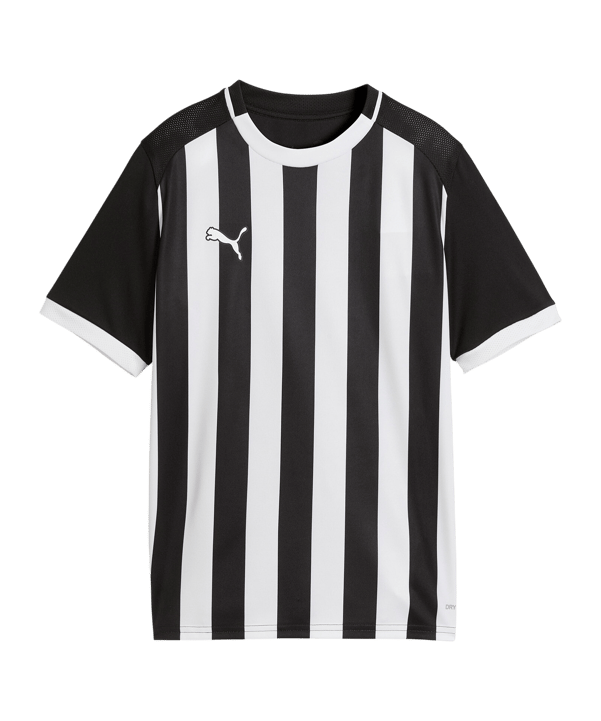 PUMA teamLIGA26 Striped Trikot Kids Schwarz F03 