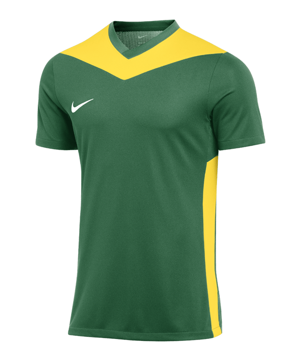 Nike Park Derby IV Trikot Grün Gelb F303 