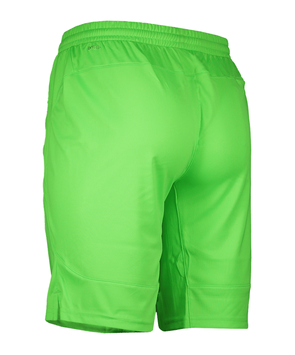 PUMA Schiedsrichter Short Grün F02 - gruen