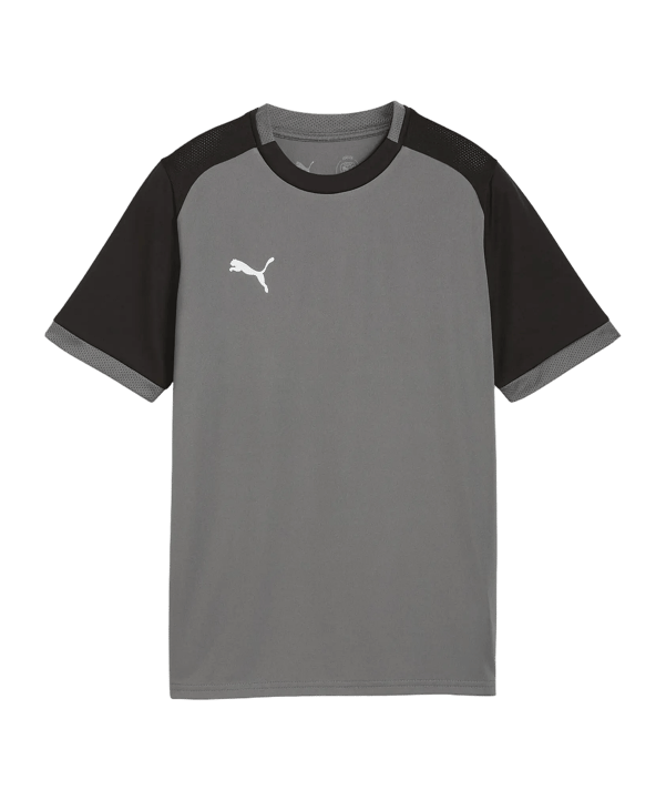 PUMA teamLIGA26 Matchday Trikot Kids Grau F13 