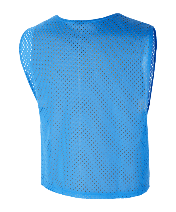 Nike Park 20 Markierungshemdchen Blau F406 - blau